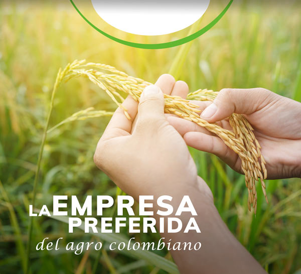 nosotros-Importador-y-distribuidor-de-productos-agricolas-yaser nosotros-Importador-y-distribuidor-de-productos-agricolas-yaser
